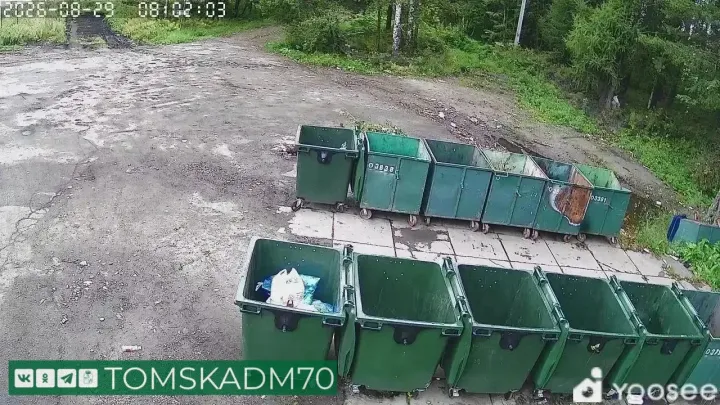 В Кировском районе за сентябрь оштрафовали 21 человека за сброс мусора — Томск Сейчас