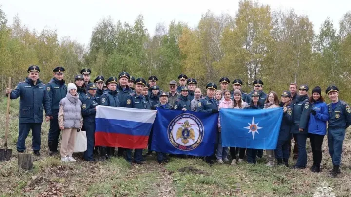 Сотрудники МЧС высадили 100 саженцев в березовой роще на Каштаке — Томск Сейчас