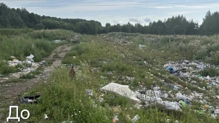 В Шегарском районе ликвидировали свалку площадью свыше 6 тыс. квадратных метров — Томск Сейчас