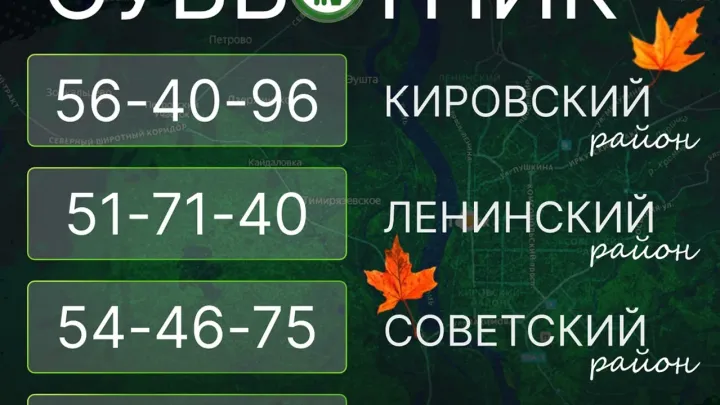 Томичей пригласили на общегородской субботник — Томск Сейчас