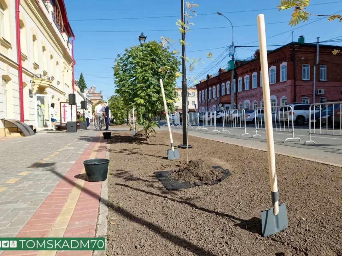 В Томске к 100-летию финансовой системы города открыли Аллею финансистов