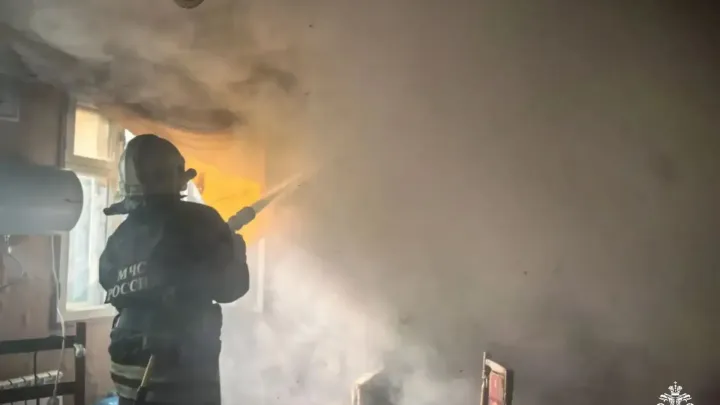 Пожар в жилом доме в деревне Осиновка ликвидирован без пострадавших