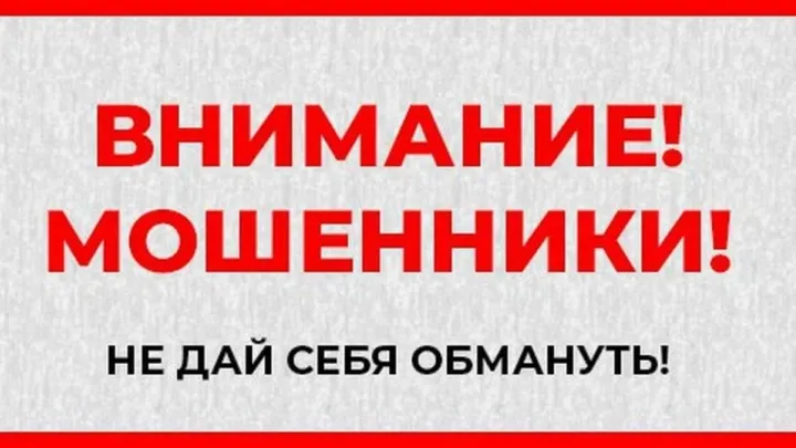 Жительница Торжокского района лишилась сбережений при попытке продать коз через интернет
