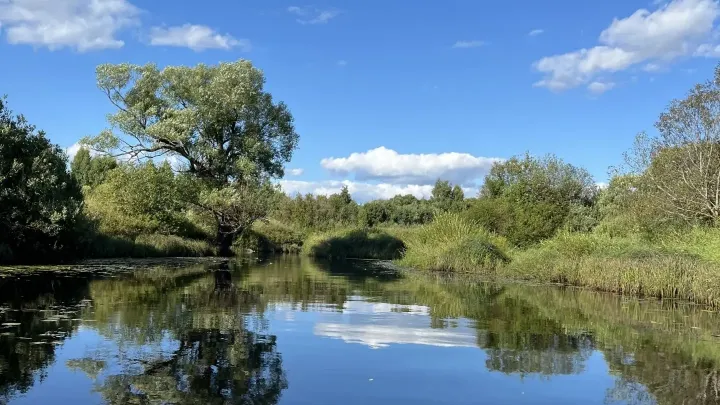 В Тверской области назвали победителей фотоконкурса «Охота — моя страсть» — Тверь Сейчас