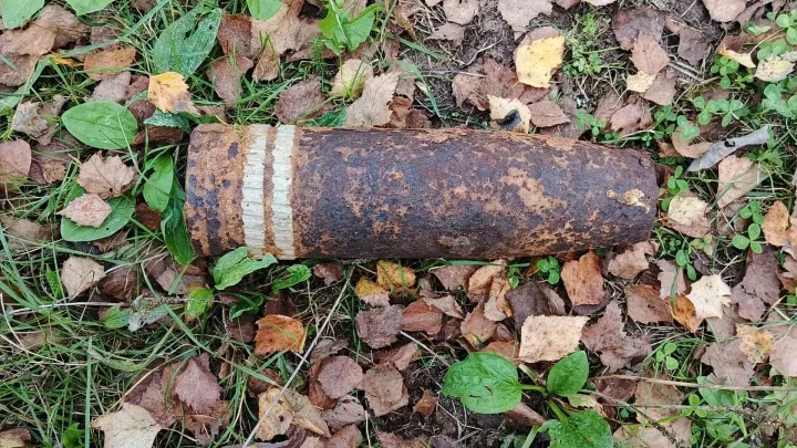 В Ржевском округе обнаружили и уничтожили два боеприпаса времён войны