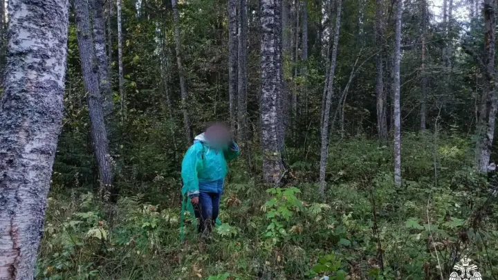 В Спировском округе спасатели вывели из леса потерявшуюся женщину