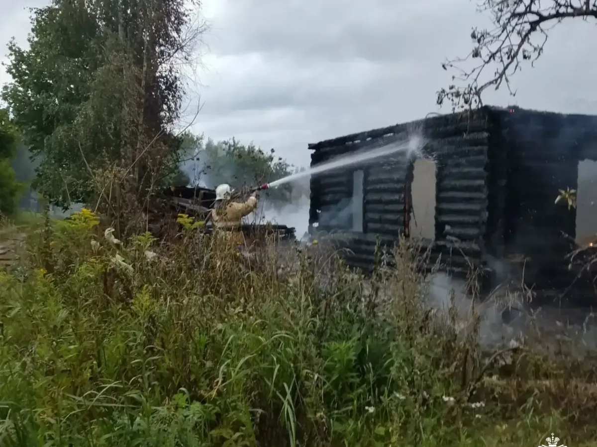 В деревне Пятницкое Торопецкого округа сгорел жилой дом