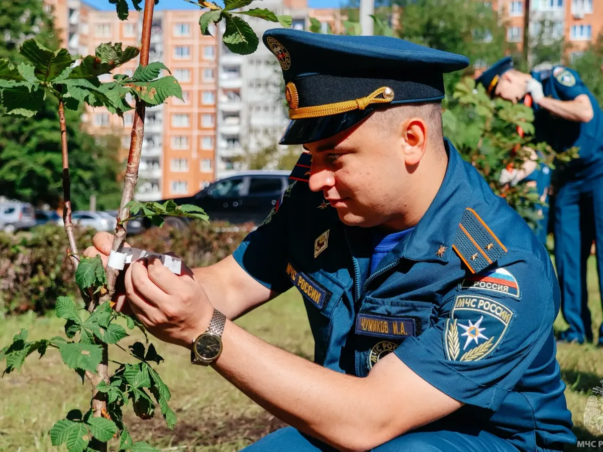 На территории сквера в Твери сотрудники и выпускники вузов МЧС России совместно с молодежным советом провели высадку молодых деревьев, основав традицию «Аллея выпускников»