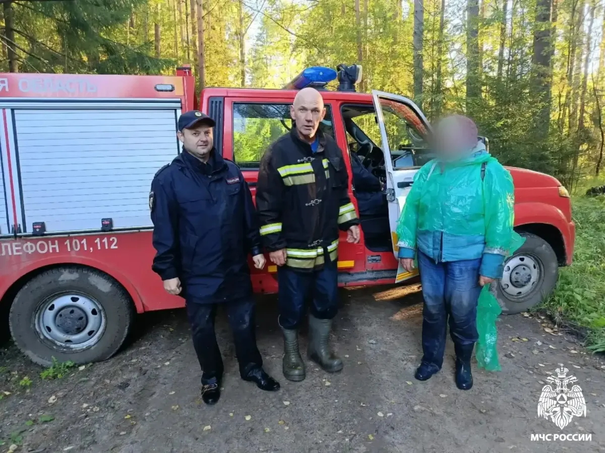 В Спировском округе спасатели вывели из леса потерявшуюся женщину