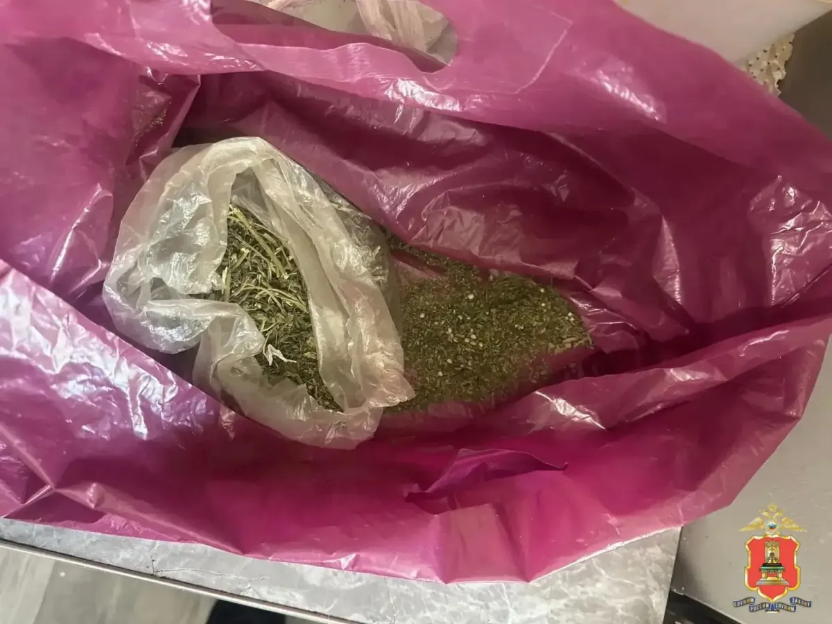 В Старице полицейские нашли наркотики в двух квартирах после вызова собственницы