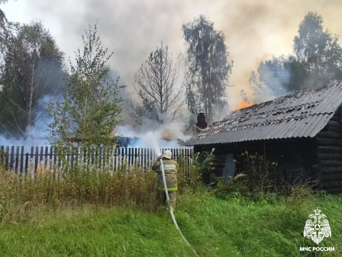 В деревне Бодачёво при пожаре сгорели дом и надворная постройка