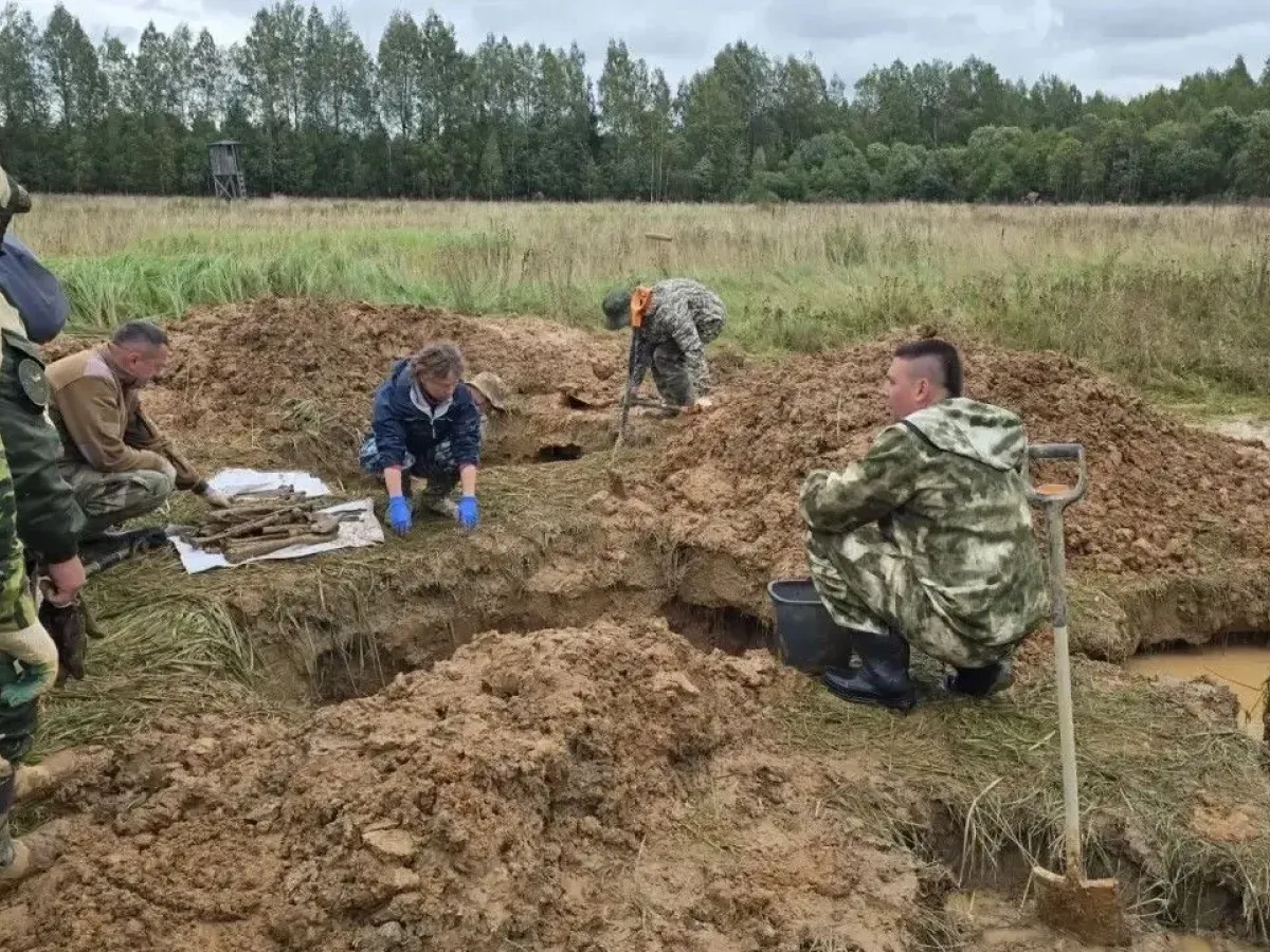 Подо Ржевом в ходе поисковой экспедиции обнаружили останки 222 бойцов