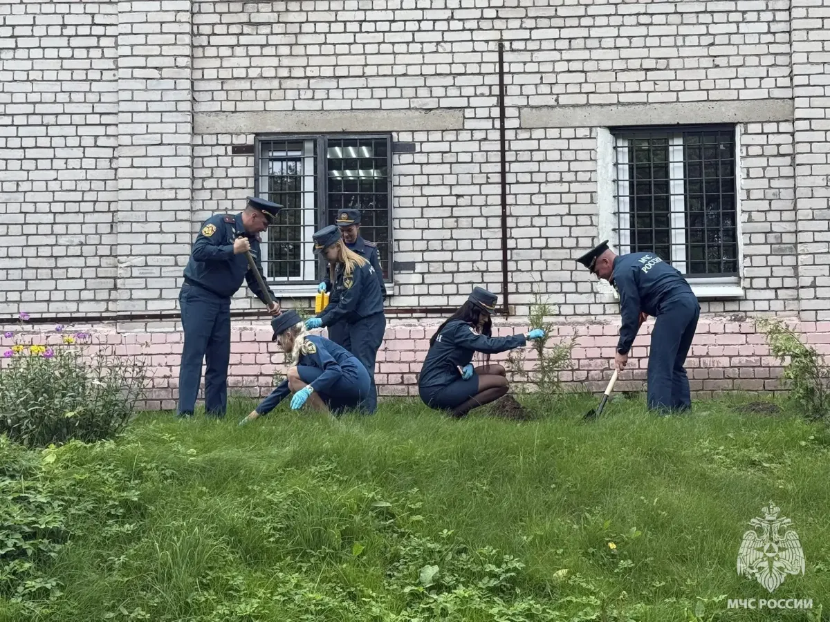 Молодёжный совет МЧС Тверской области присоединился к акции «Зелёная Россия»