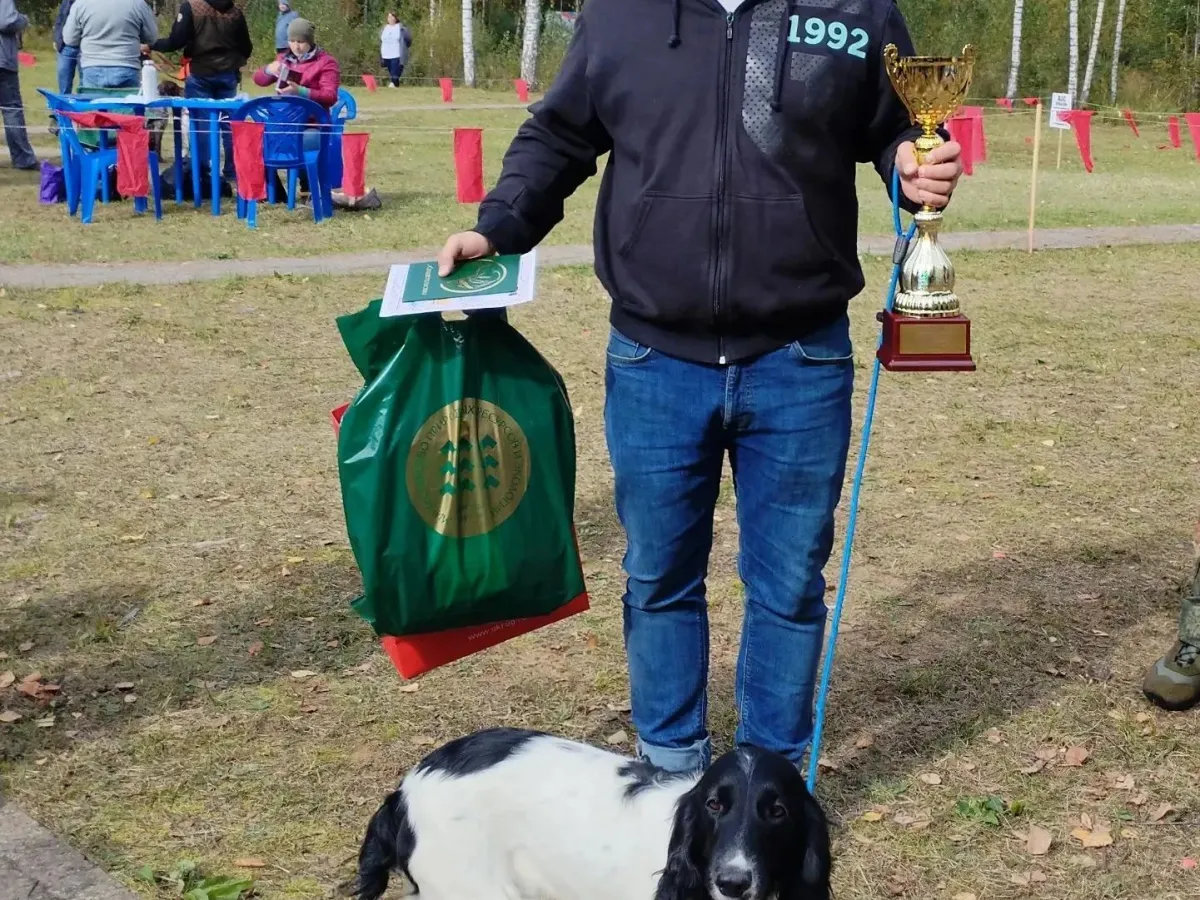 В Твери назвали чемпионов 66-й областной выставки охотничьих собак