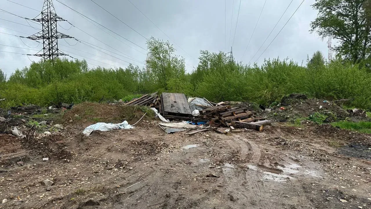 В Рамешковском округе через суд взыскали ущерб за незаконную свалку