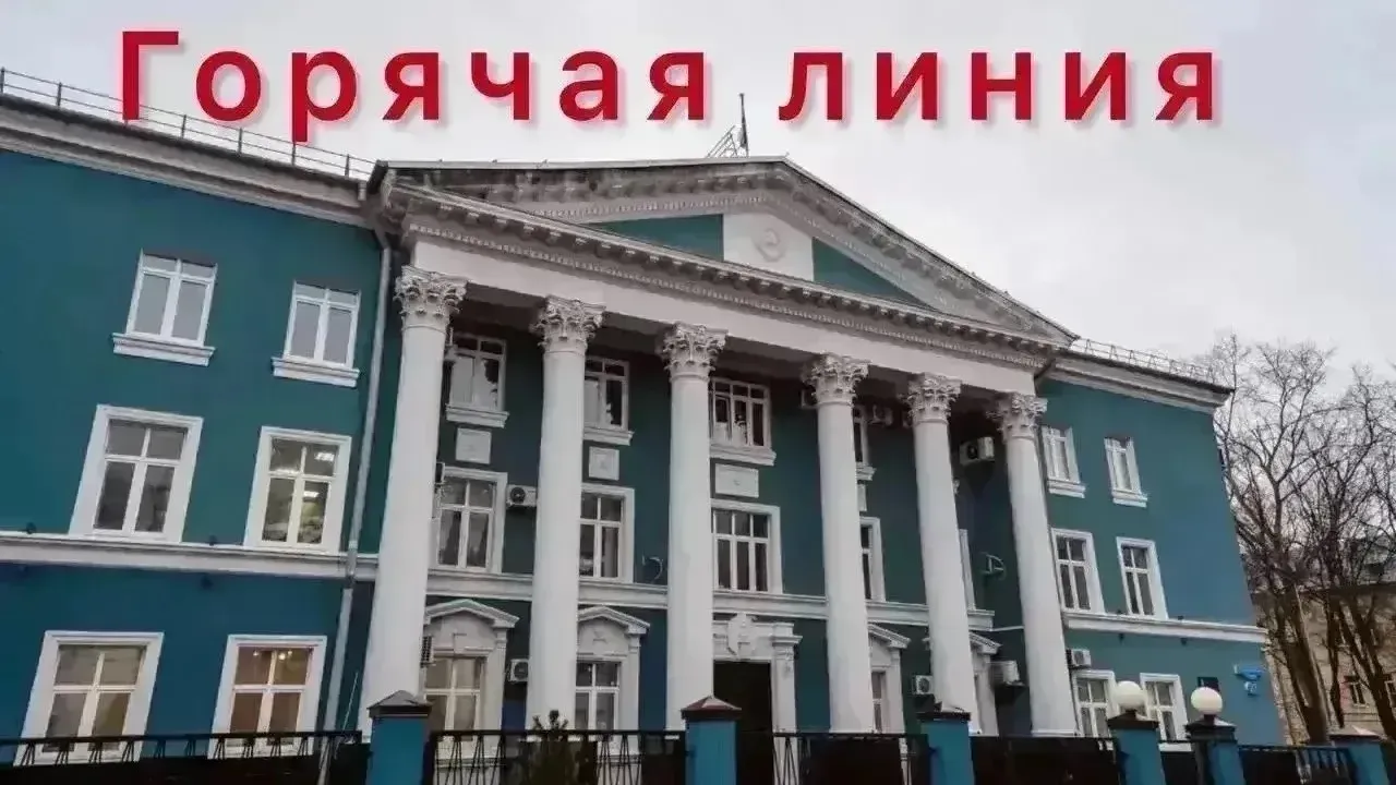 В Тверской области открыли горячую линию по незаконной рубке леса