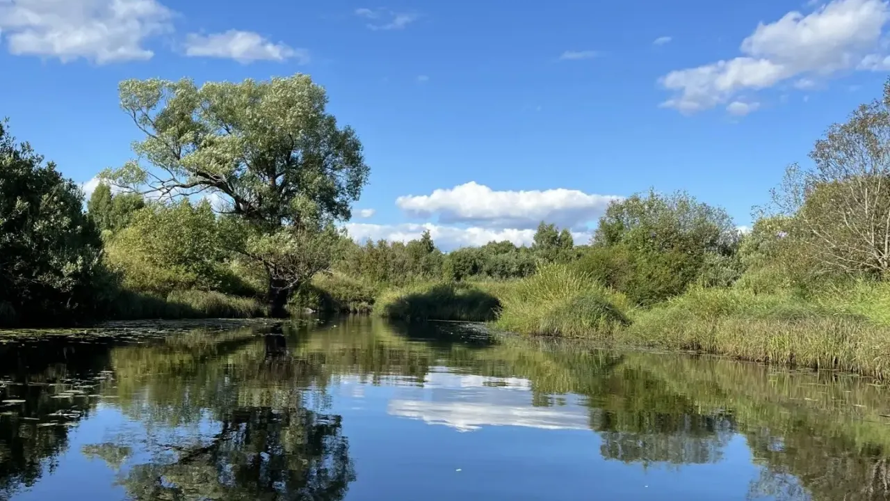 В Тверской области назвали победителей фотоконкурса «Охота — моя страсть»