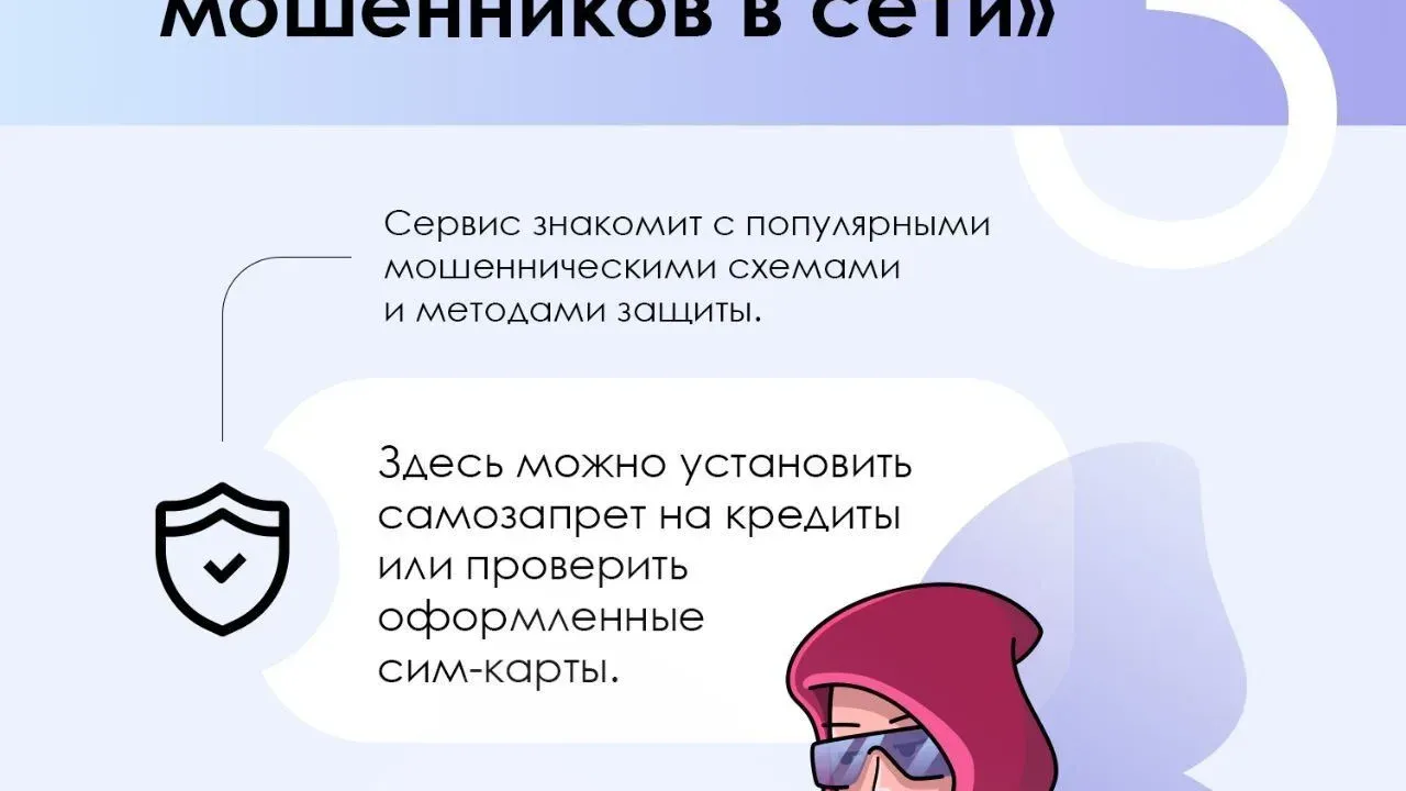 На Госуслугах запустили сервис «Защита от мошенников в сети» — Тверь Сейчас