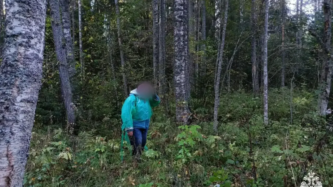 В Спировском округе спасатели вывели из леса потерявшуюся женщину — Тверь Сейчас