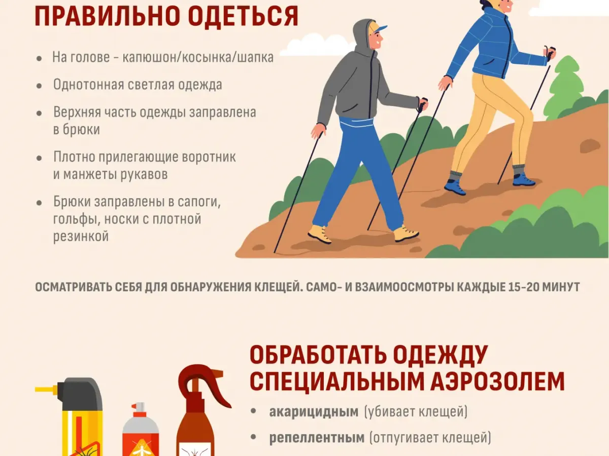 В Тюменской области зарегистрировано более 12,4 тысячи обращений из-за клещей