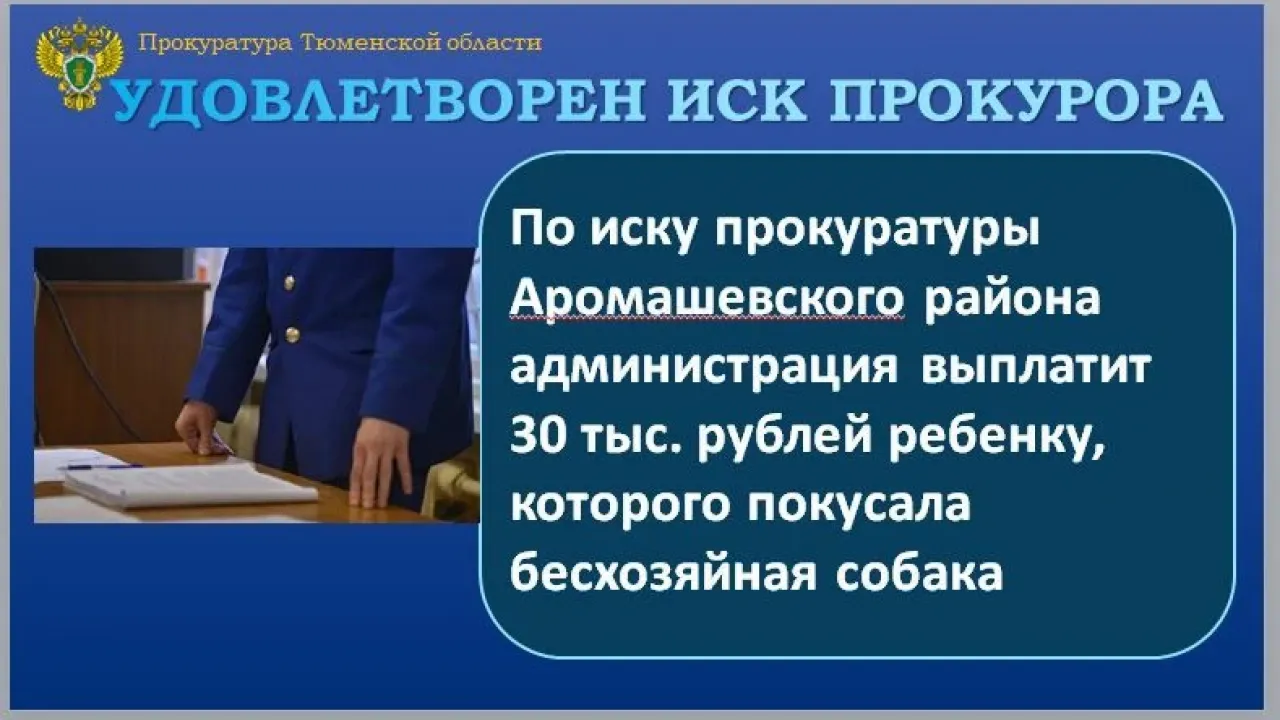 В Аромашевском округе суд взыскал 30 тысяч рублей после нападения собаки на ребенка — Тюмень Сейчас