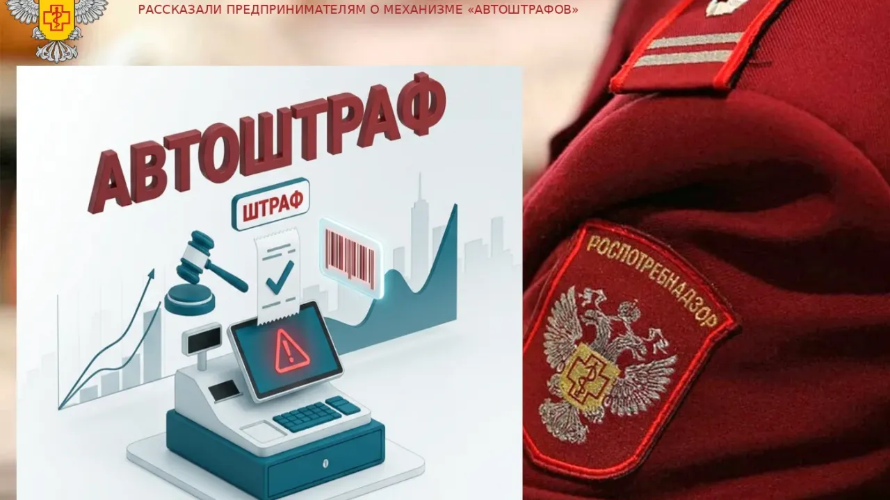 В Димитровграде предпринимателям рассказали о механизме «автоштрафов»