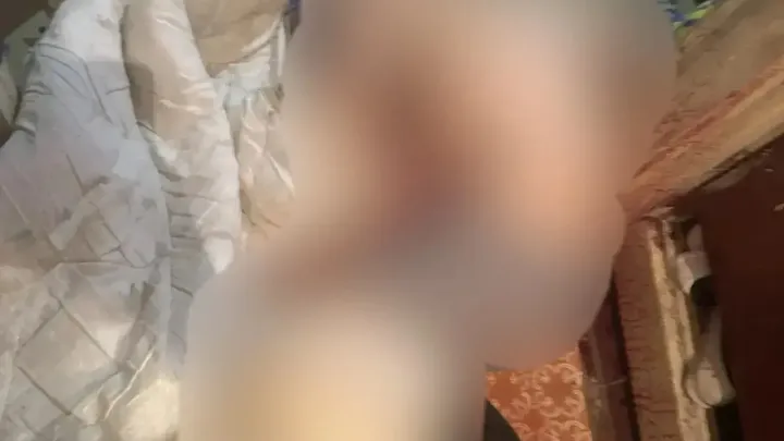 Жительница Покрова предстанет перед судом по обвинению в убийстве сожителя — Владимир Сейчас