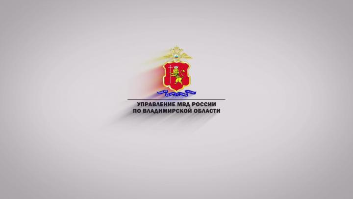 Чемпионат УМВД по полосе препятствий прошёл в Суздальском районе — Владимир Сейчас