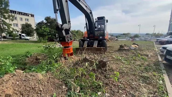 Во Владимире продолжают удалять инвазивные растения возле Филармонии — Владимир Сейчас