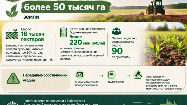 Во Владимирской области за 5 лет ввели в сельхозоборот более 50 тысяч гектаров земли — Владимир Сейчас