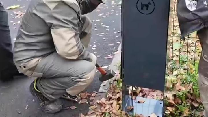 На бульваре художника Иванова установили специализированные урны для выгула собак — Владимир Сейчас