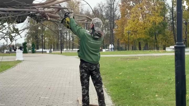 Во Владимире стартовал месячник по благоустройству и прошёл общегородской субботник — Владимир Сейчас