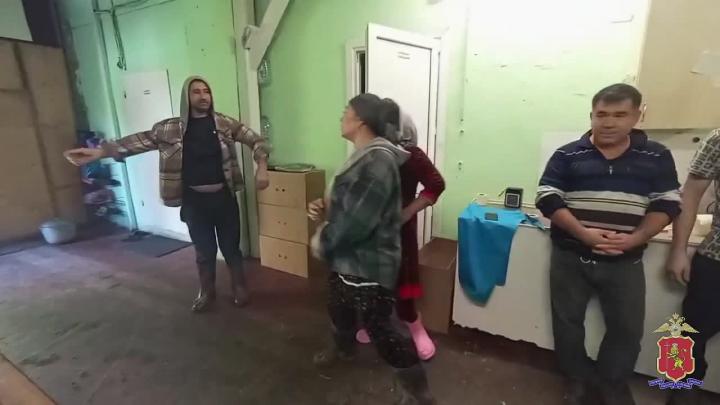 В двух районах Владимирской области выявили нарушения миграционного законодательства — Владимир Сейчас