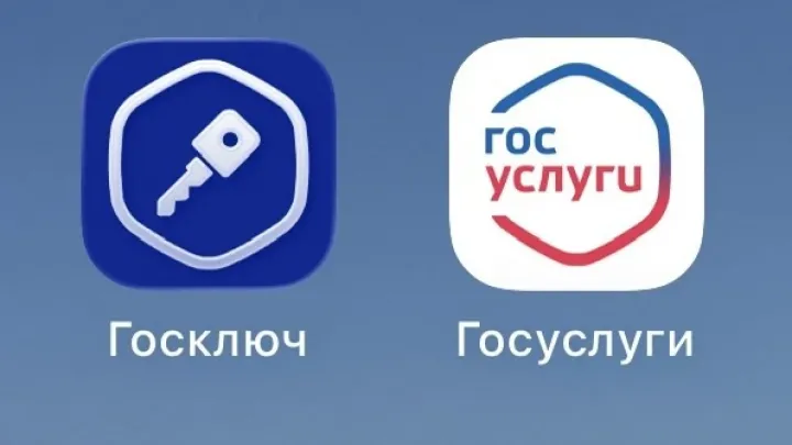 На «Госуслугах» появится подписание документов с биометрией — Владимир Сейчас