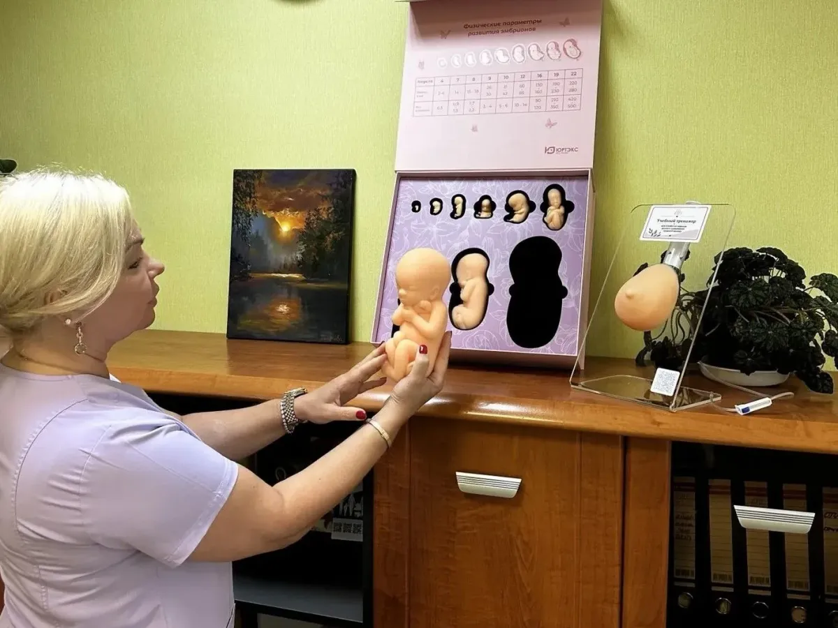 В медучреждения Владимирской области передают наглядные пособия для школ беременных