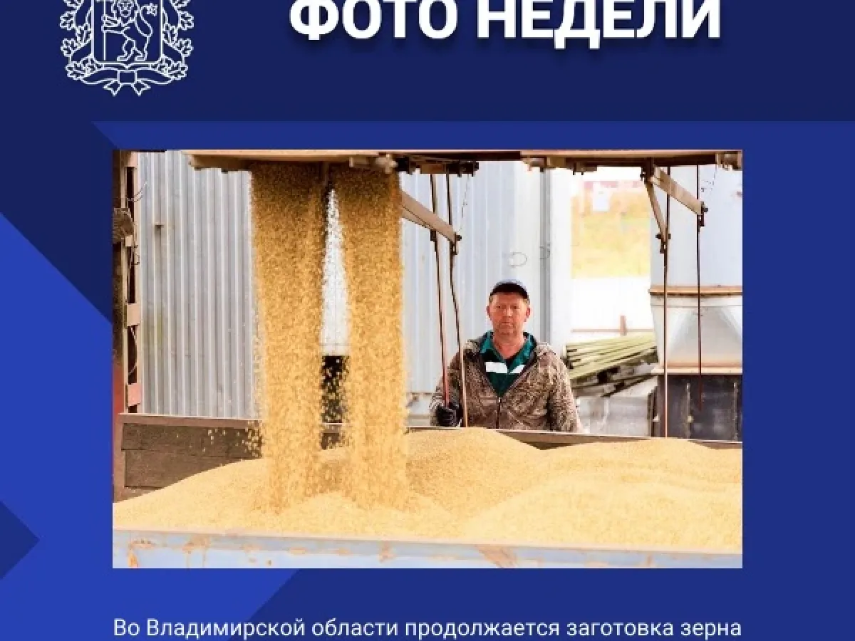 Правительство Владимирской области подвело итоги работы за неделю