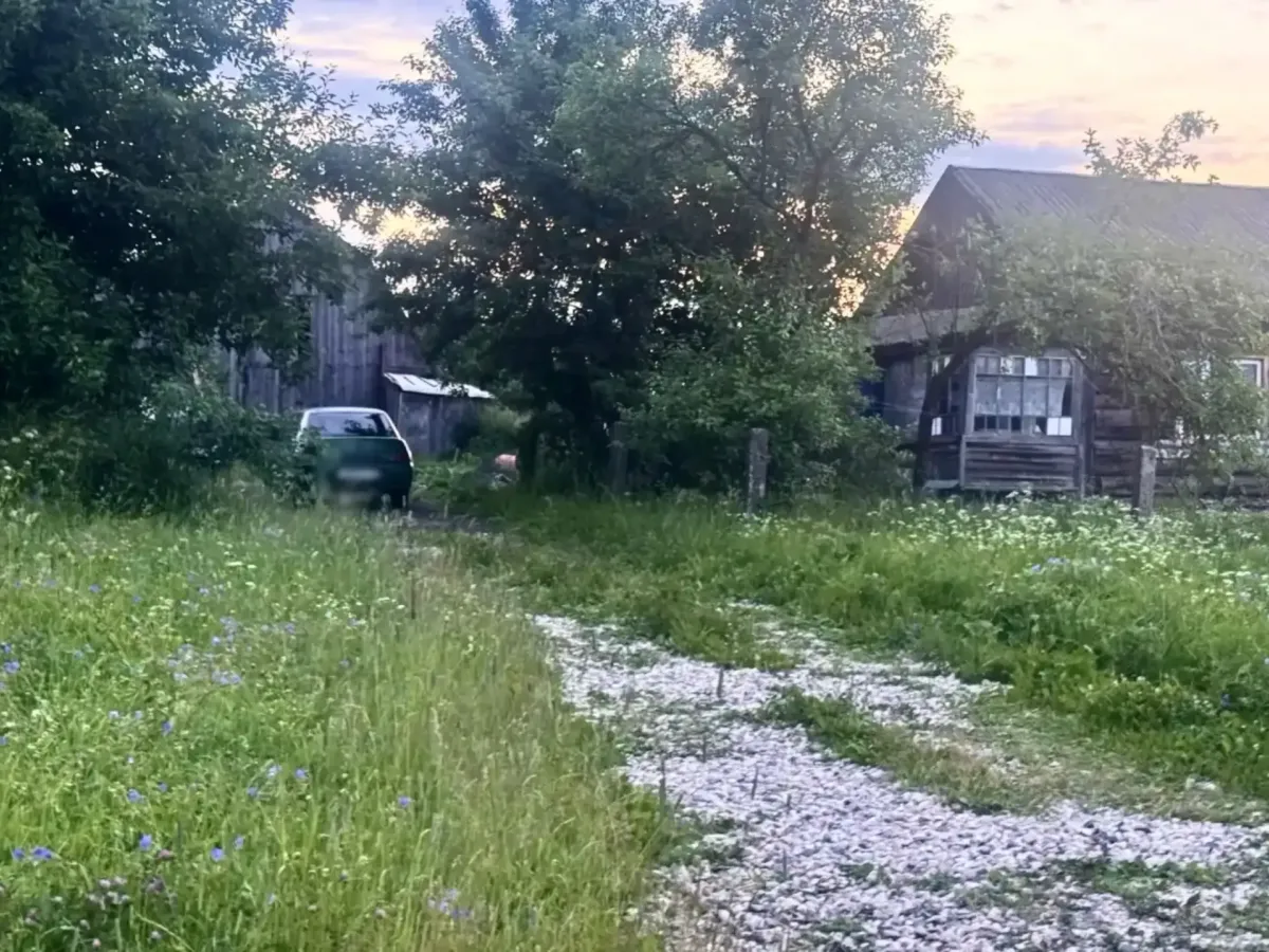 В Александрове завершили расследование дела о похищении женщины и угрозе убийством
