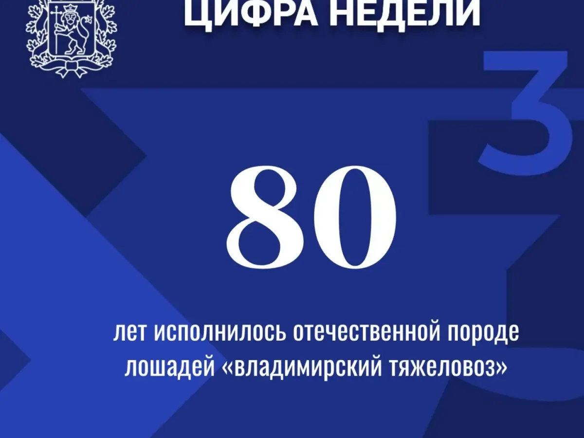 Правительство Владимирской области подвело главные итоги недели