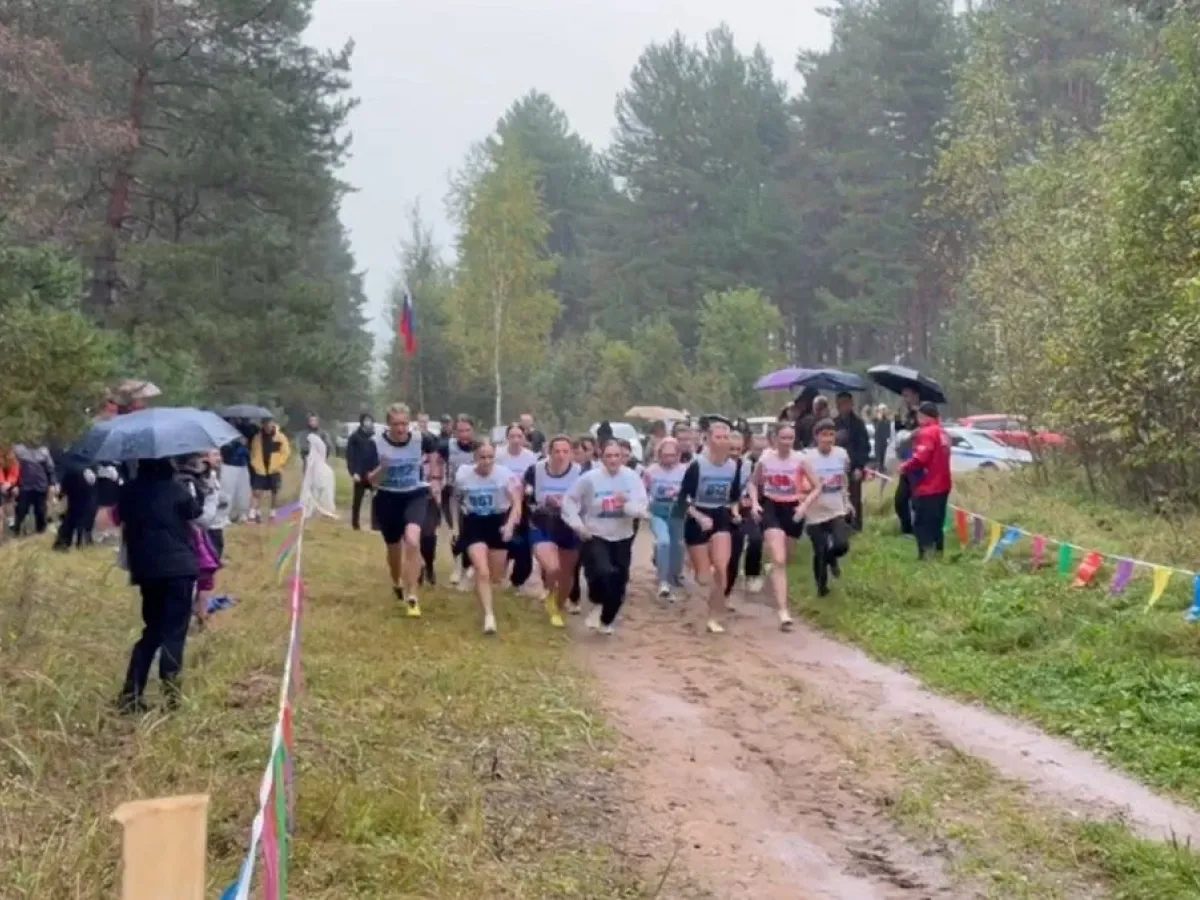 В Камешково прошел чемпионат УМВД по кроссу памяти Николая Сизинцева