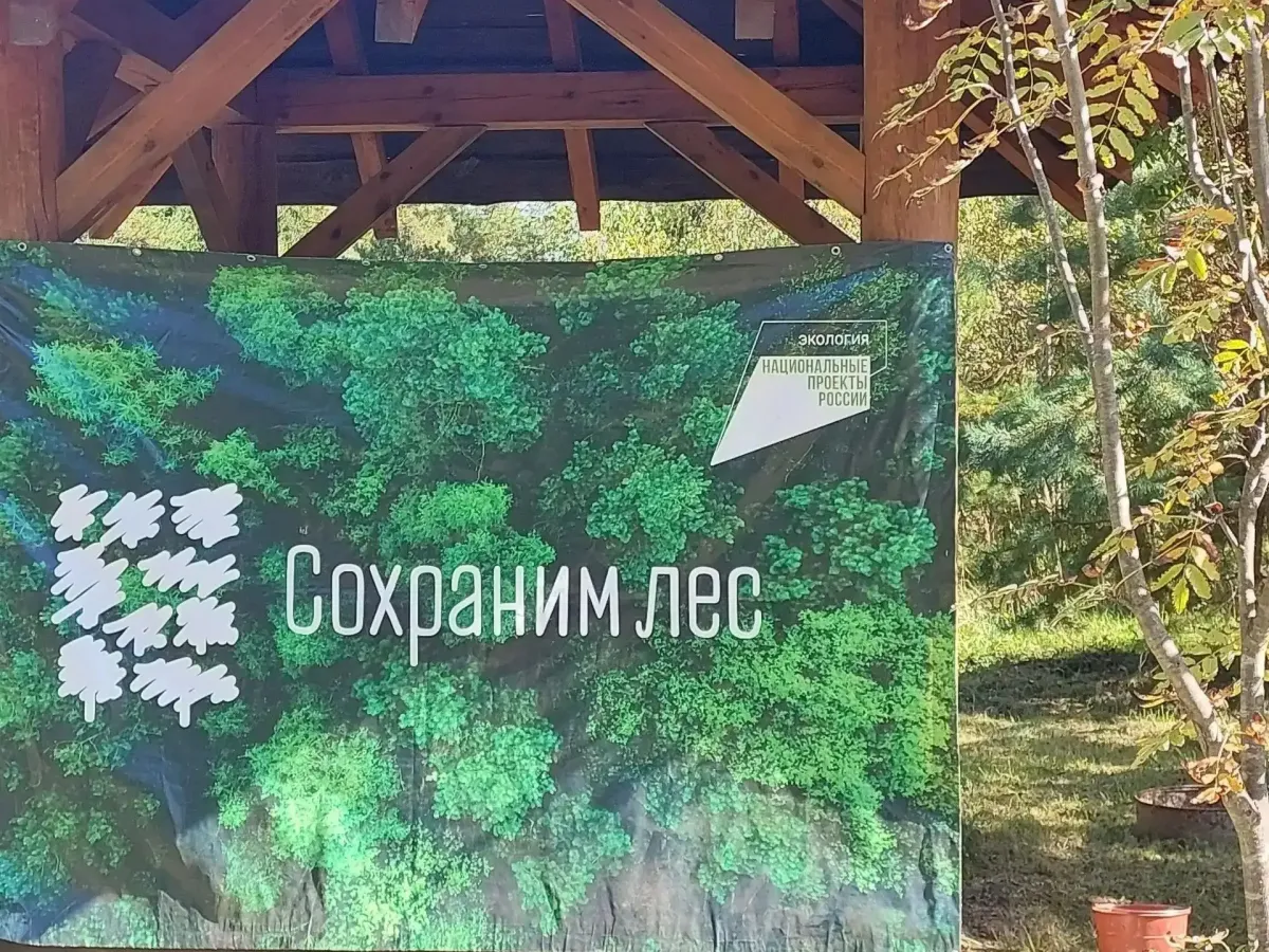 В Андрееве высадили аллею сосен в память о Герое России Алексее Курганове