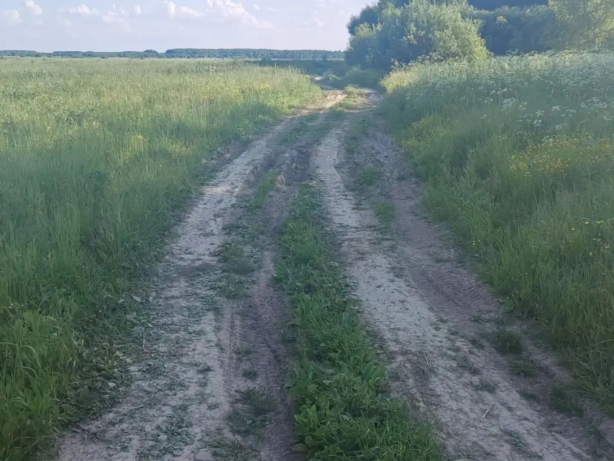 Суд обязал привести в порядок дорогу между Клементьево и трассой «Владимир-Кольчугино»