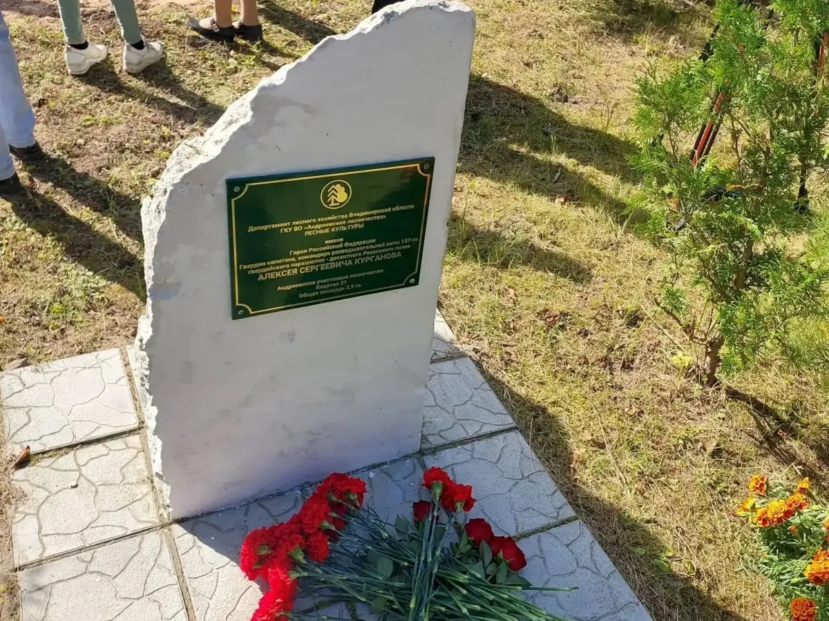 В Андрееве высадили аллею сосен в память о Герое России Алексее Курганове