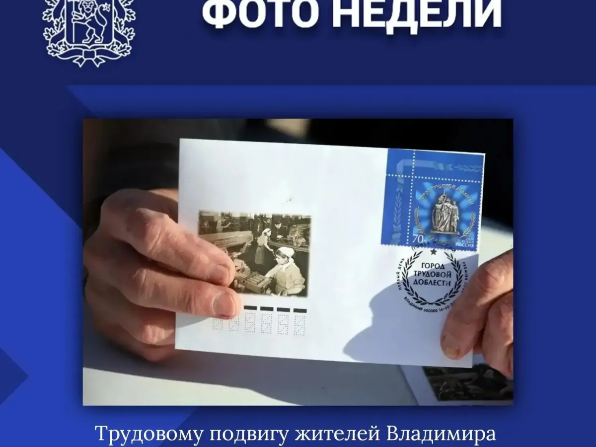 Правительство Владимирской области подвело итоги недели по ключевым направлениям