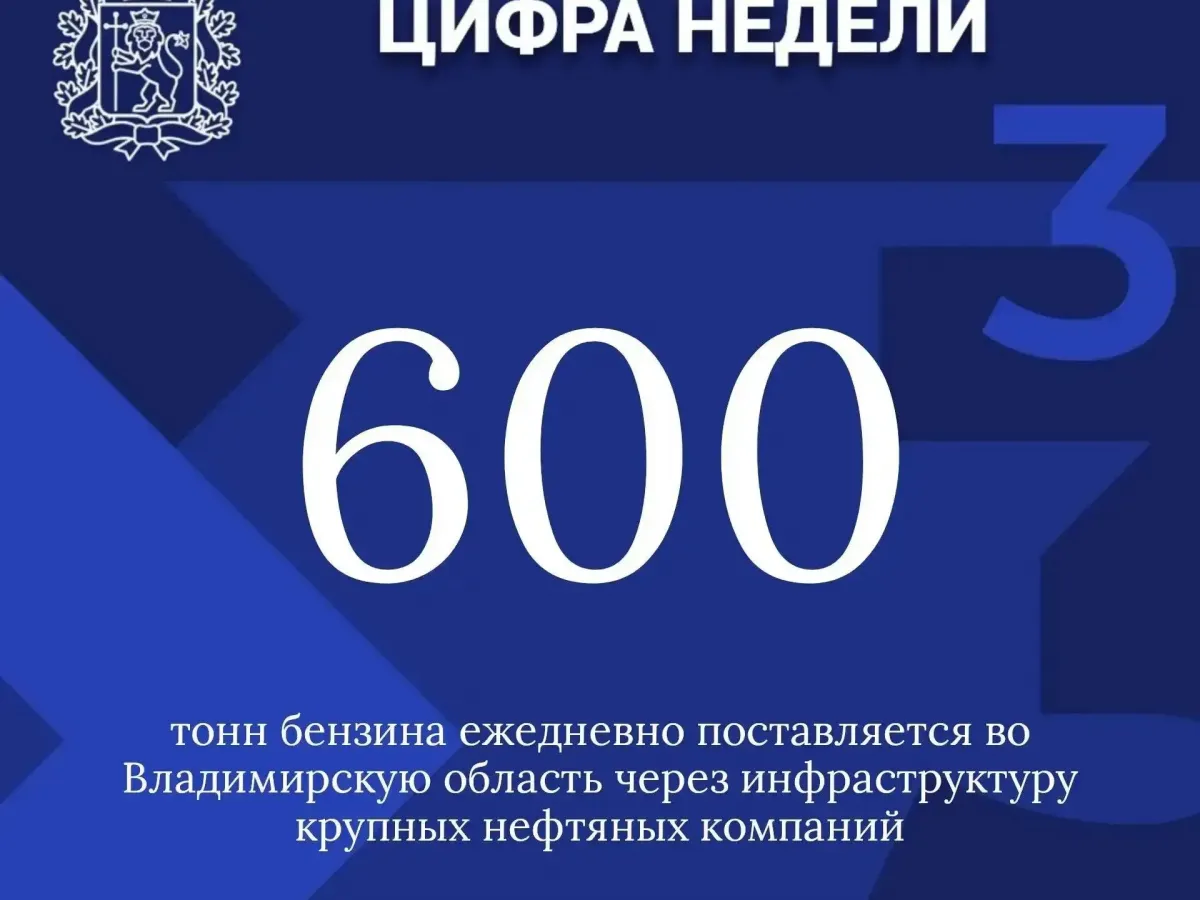 Правительство Владимирской области подвело итоги недели по ключевым направлениям
