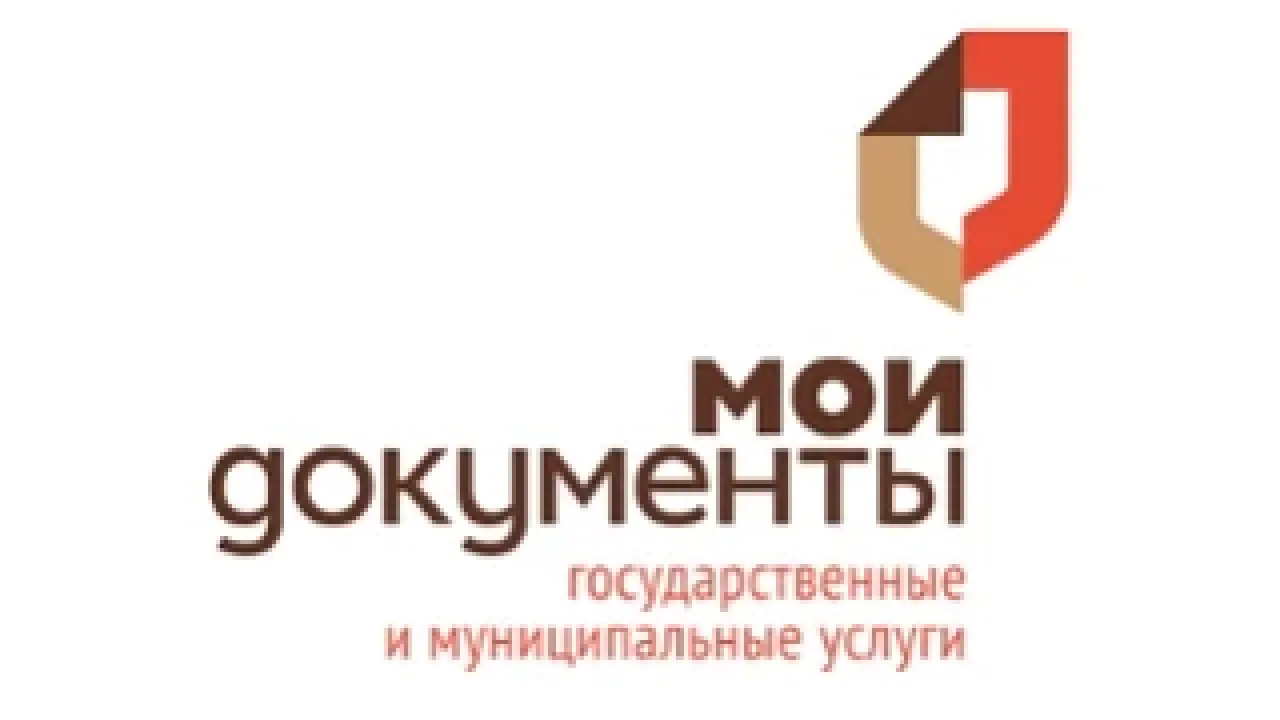 Представления Счетной палаты по проверке МФЦ Владимирской области выполнены в полном объеме — Владимир Сейчас