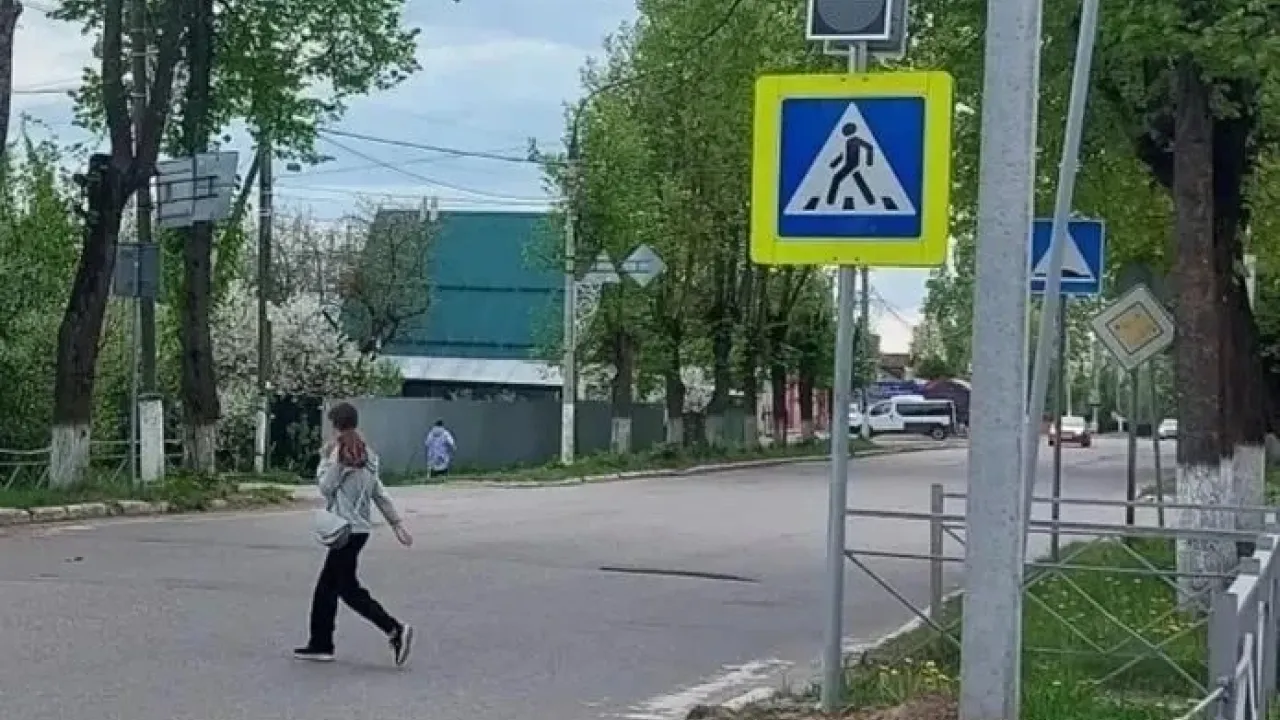В Кольчугино у шести школ установили светофоры по требованию прокуратуры — Владимир Сейчас