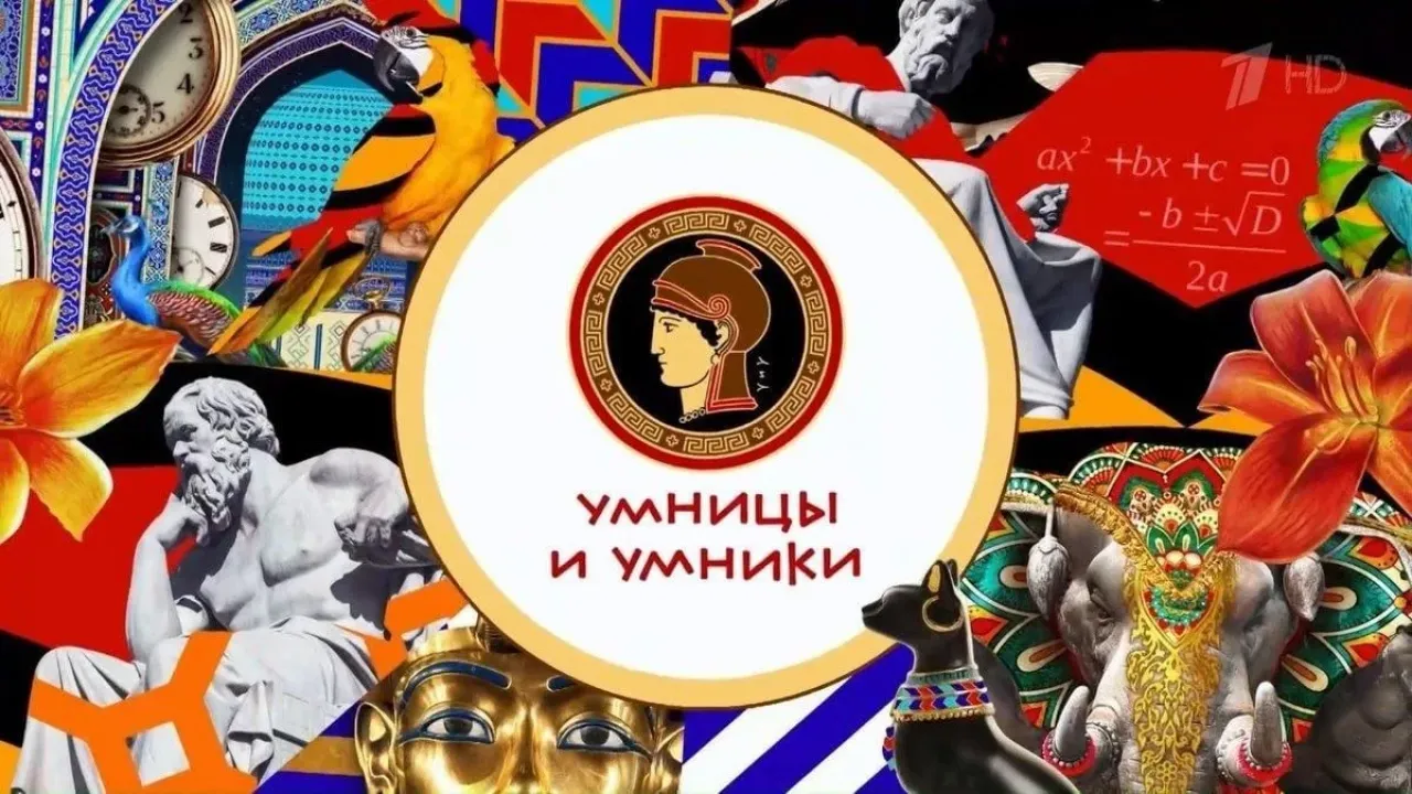 Пятеро 11-классников из Владимирской области выступят в четвертьфинале «Умницы и умники» — Владимир Сейчас