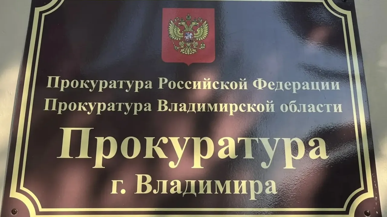 Во Владимире прокуратура помогла матери получить около 80 тысяч рублей долга по алиментам — Владимир Сейчас