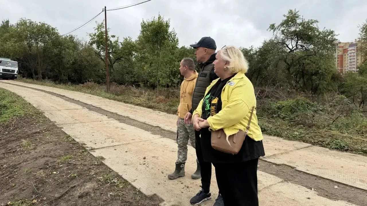 На благоустройстве паркового пространства рядом с ДДюТ идут работы — Владимир Сейчас