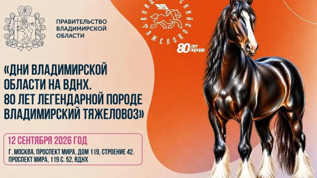 На ВДНХ проходят Дни Владимирской области с событиями к 80-летию владимирского тяжеловоза — Владимир Сейчас